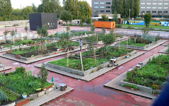 Urban gardens in Belgium